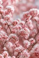 Flowing sheer fabric in shades of pink and lavender illuminated by soft light photo