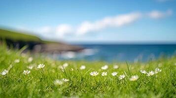 Tall green grass swaying on a coastal hillside under a cloudy sky by the ocean photo