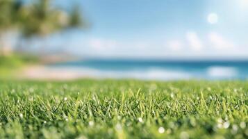 Tall green grass swaying on a coastal hillside under a cloudy sky by the ocean photo