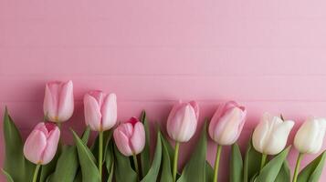 Pink tulips arranged elegantly against a soft pink brick wall photo