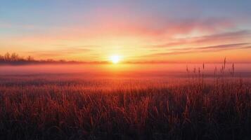 Sunrise over tranquil meadow with barbed wire and grass in soft morning light photo