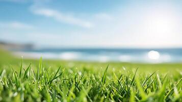 Tall green grass swaying on a coastal hillside under a cloudy sky by the ocean photo