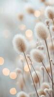 Soft, fluffy plant stems illuminated by warm, blurred lights in a tranquil setting photo
