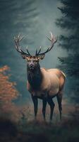 Majestic elk standing in a misty forest during autumn morning light photo