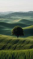 Lush green hills with a solitary tree during golden hour in a serene landscape photo