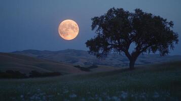 Full moon illuminating a tranquil landscape at dusk in a rural area photo