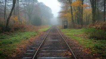 Foggy railroad track through autumn forest landscape in a rural setting photo