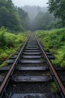 Misty railway tracks surrounded by lush greenery in a tranquil forest setting photo