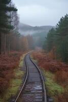 Misty railway tracks surrounded by lush greenery in a tranquil forest setting photo