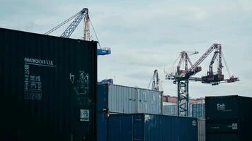 Port containers huge harbor cargo load container dock ship transportation crane unloading shipment international distribution export import trade sea ocean transport in the bay naval video