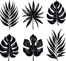 Set Of Tropical Leaves Black Silhouettes Isolated On White Background Hand Drawn Illustration vector