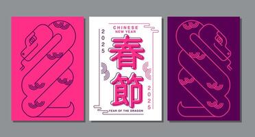 Lunar new year, Chinese New Year 2025 , Year of the Snake , line art ,outline ,Geometric shapes vector