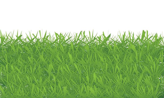 Green grass texture on white background illustration