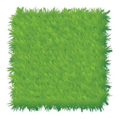 texture of grass isolated on white background illustration