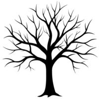 Silhouette of a Leafless Tree with Intricate Details Illustration vector