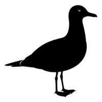 Elegant Seagull Silhouette Artwork on a Clean White Background for Graphic Design vector