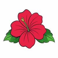 Hibiscus Floral Illustration on Simple White Background for Art Projects vector