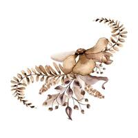 Flower on palm leaf monochrome arrangement in watercolor brown color. Abstract plants in sienna color isolated. Fantasy branches hand drawn. Design of branding, invitations, printed products, wedding vector