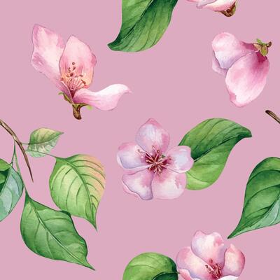 Pink flowers of cherry tree and leaves seamless pattern watercolor isolated on white. Blossom fruit tree branch hand drawn. Design element for packaging, backdrop, wallpaper, textile.