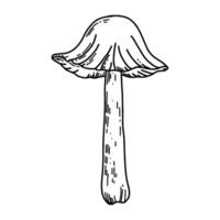 Decorative graphic sketch of a mushroom. vector