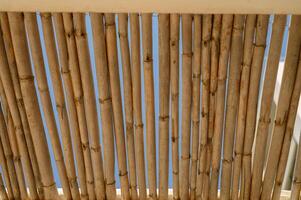 thatched roof for light in summer photo