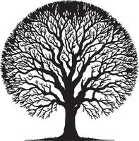 Tree without leaf silhouette illustration white background eps 10 vector