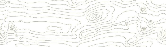 Seamless wooden pattern. Wood grain texture. Dense lines. Abstract white background vector