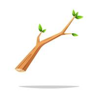 Tree branch isolated on white background. vector