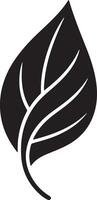 Tree branches with leaves vector