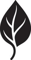 Tree branches with leaves silhouette vector