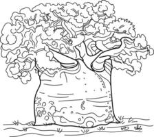 Big Baobab Tree in Madagascar, big tree, Hand drawn in thin line style vector