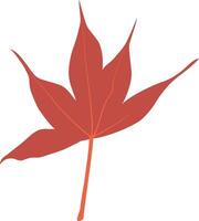 An autumn leaf vector