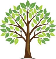 Green tree design and round shape with many leavs illustration vector