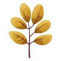 autumn colored bright leaf highlighted vector