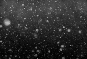 Detailed Snowfall Overlay Image Isolated on Black Background Perfect for Dynamic Visual Effects photo