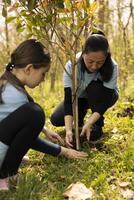 Mom and her little kid doing voluntary work planting a tree to help with reforestation and environmental conservation. Environmentalists taking action to help natural forest habitat. photo