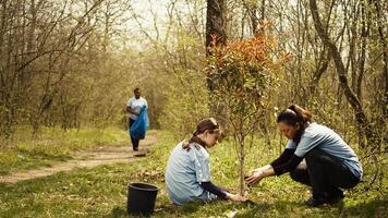 Group of volunteers planting new seedlings around the forest area, digging up holes and installing trees seeds for nature conservation and protection. Mother and little girl take action. Camera B. photo