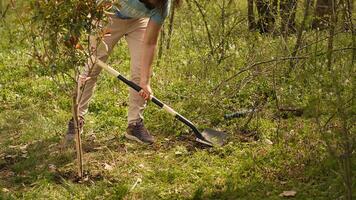 Young man covering base and hole after planting small tree in the woods, working with shovel to grow seedlings and preserve forest habitat. Activist does voluntary work for the planet. Camera A. photo