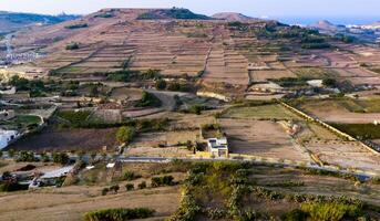 View from the walls of the rectangular fields on the island of Gozo, Malta photo