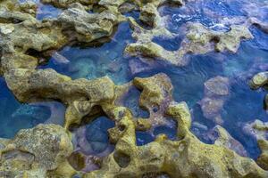 Stone coastal area of the island of Malta, lakes of water in the intertidal zone at the water's edge photo