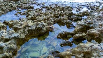 Stone coastal area of the island of Malta, lakes of water in the intertidal zone at the water's edge photo