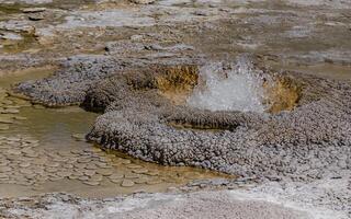 Boiling water bubbler Geyser. Active geyser with major eruptions. Yellowstone NP, Wyoming, US photo