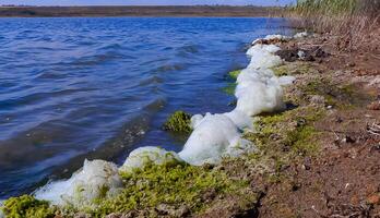 Environmental problem and pollution, eutrophication of a natural reservoir, dirty foam on the shore, Tiligul estuary photo