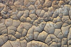 Cracked red clay and white salt on the surface in a dried riverbed in the desert of New Mexico, USA photo