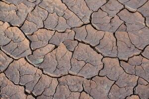 Cracked red clay and white salt on the surface in a dried riverbed in the desert of New Mexico, USA photo