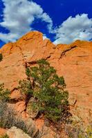 Eroded red-sandstone formations. Garden of the Gods, Colorado Springs, Colorado photo