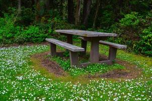 Table and benches for resting tourists on the shores of the Pacific Ocean in Olympic National Park, Washington photo