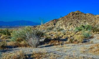Rock desert landscape in California, yucca, cacti and desert plants in the foreground. photo