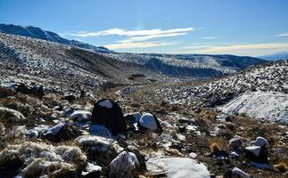 Snow in the mountains, Snow-covered mountain pass, desert plants under the snow in summer photo