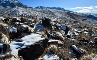 Snow in the mountains, Snow-covered mountain pass, desert plants under the snow in summer photo
